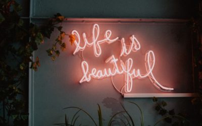 “You Are Famous!”